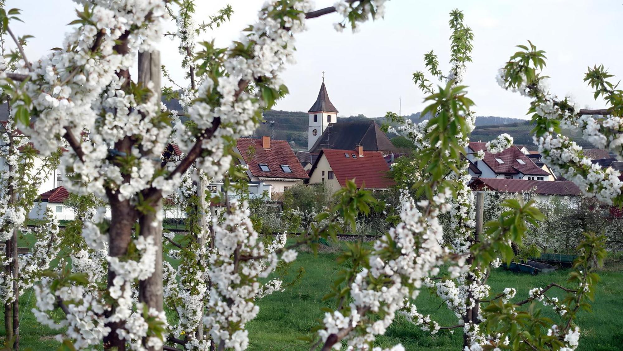 Ferienwohnung Fliegerhorst Endingen am Kaiserstuhl Eksteriør billede