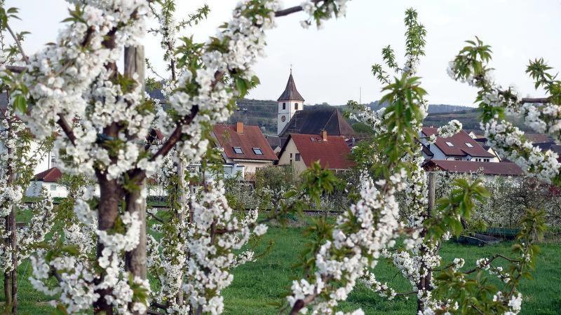 Ferienwohnung Fliegerhorst Endingen am Kaiserstuhl Eksteriør billede